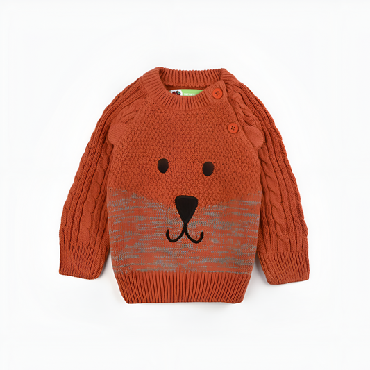 The White Hike Baby Boys Cotton Sweater - The White Hike